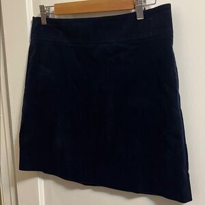 Elegant Navy Mini Skirt